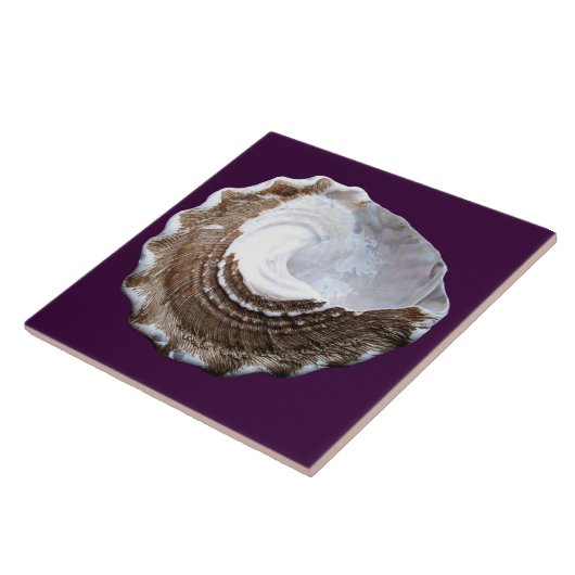 Single-Muschelfliese Fliese (Seite)