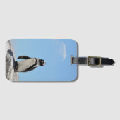 Single Niedlich Pinguin und Blue Sky Gepäckanhänger (Vorderseite (Horizontal))