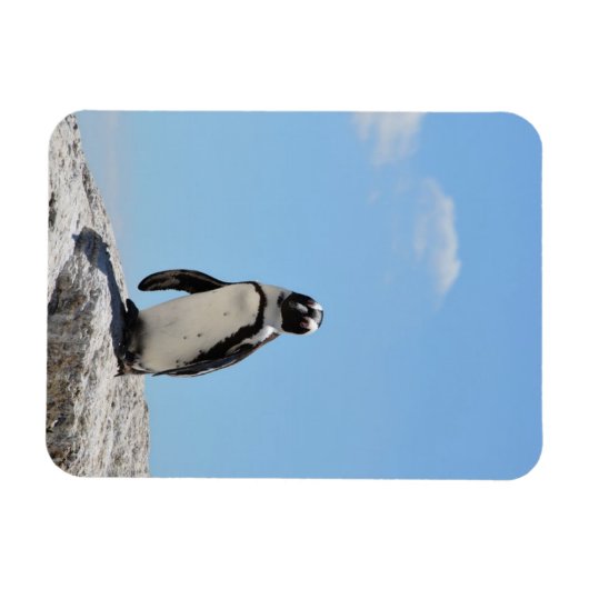 Single Niedlich Pinguin und Blue Sky Magnet (Horizontal)