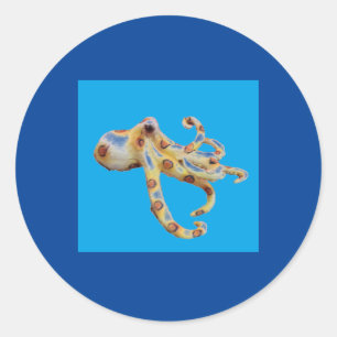 Single Octopus im blauen Hintergrund Runder Aufkleber