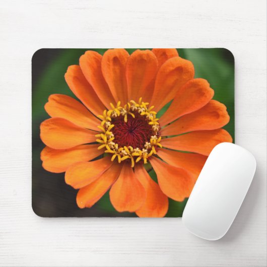 Single Orange Blume Mousepad (Mit Mouse)