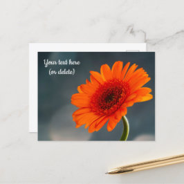 Single Orange Gerbera Postcard Postkarte