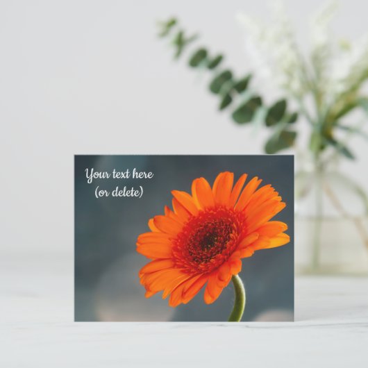 Single Orange Gerbera Postcard Postkarte (Stehend Vorderseite)