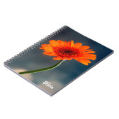 Single Orange Gerbera Spiral Notebook Notizblock (Linke Seite)