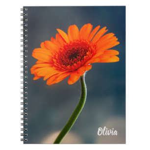 Single Orange Gerbera Spiral Notebook Notizblock