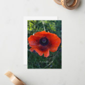 Single Orange Oriental Poppy Mitteilungskarte (Vorderseite/Rückseite Beispiel)