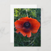 Single Orange Oriental Poppy Mitteilungskarte (Vorne/Hinten)