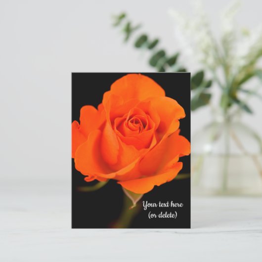 Single Orange Rose Postkarte (Stehend Vorderseite)