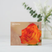 Single Orange Rose Postkarte (Stehend Vorderseite)