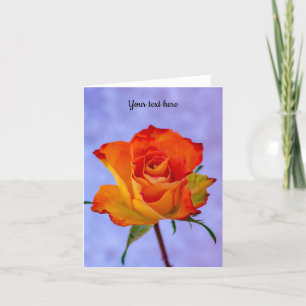 Single Orange und Gelb Rose Grußkarte Karte