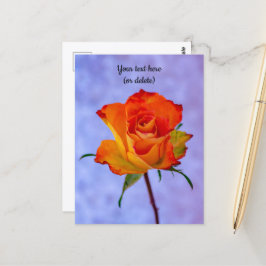 Single Orange und Gelb Rose Postkarte