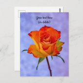 Single Orange und Gelb Rose Postkarte (Vorne/Hinten)