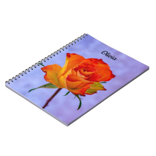 Single Orange und Yellow Rose Spirale Notebook Notizblock (Linke Seite)