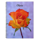 Single Orange und Yellow Rose Spirale Notebook Notizblock (Vorderseite)