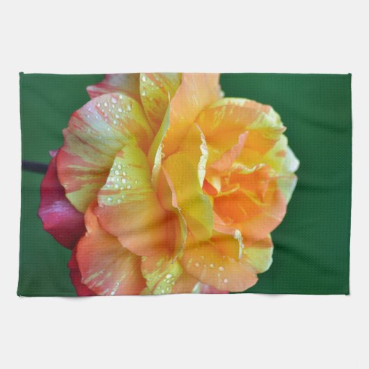 Single Orangentee Rose Geschirrtuch (Horizontal)
