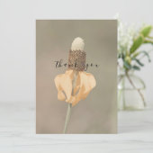 Single Pale Orange Wildblume Flat Vielen Dank Dankeskarte (Stehend Vorderseite)