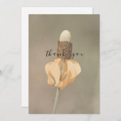Single Pale Orange Wildblume Flat Vielen Dank Dankeskarte (Vorne/Hinten)