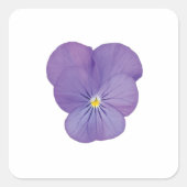 Single Pansy Blume Aufkleber (Vorderseite)