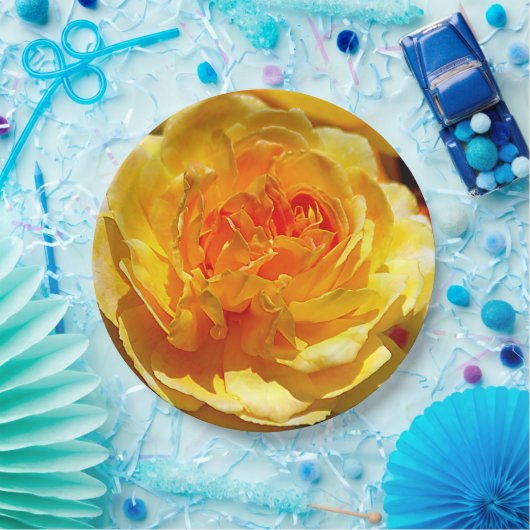 Single Pappteller (Party)