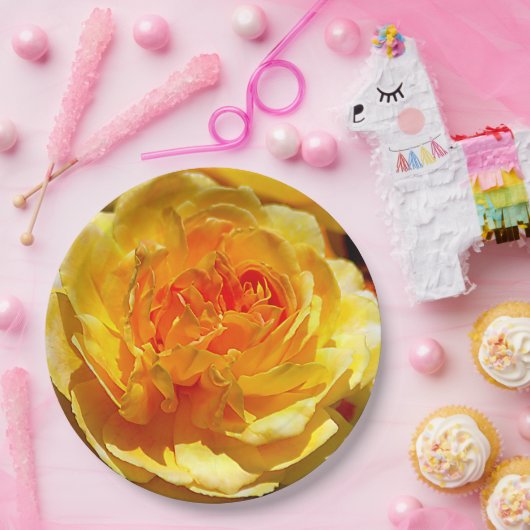 Single Pappteller (Party)