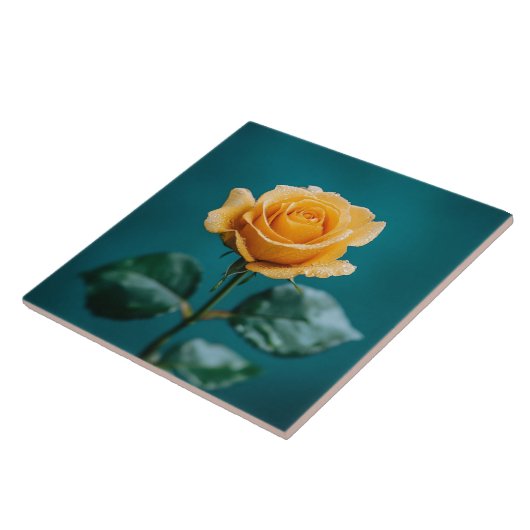 Single Peach Rose Fliese (Seite)