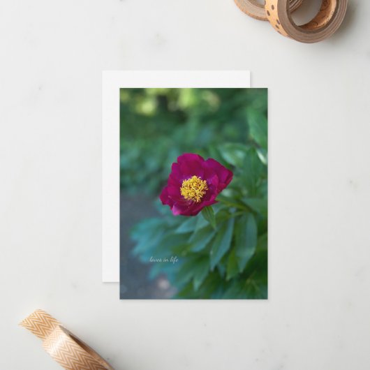 Single Peony Mitteilungskarte (Vorderseite/Rückseite Beispiel)