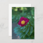 Single Peony Mitteilungskarte (Vorne/Hinten)