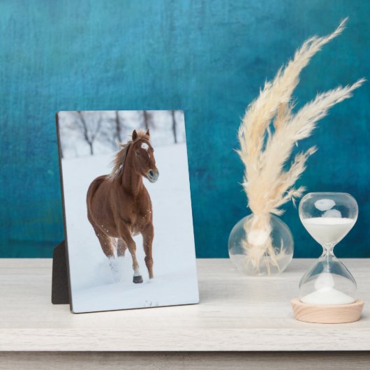 Single Pferd läuft im Schnee Fotoplatte (Seite)
