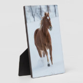 Single Pferd läuft im Schnee Fotoplatte (Seite)