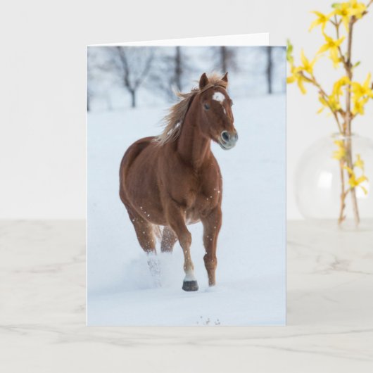 Single Pferd läuft im Schnee Karte (Gelbe Blume)