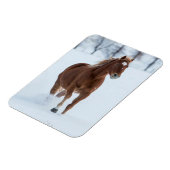 Single Pferd läuft im Schnee Magnet (Linke Seite)