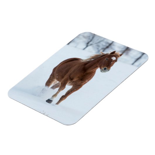 Single Pferd läuft im Schnee Magnet (Linke Seite)