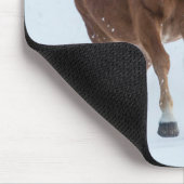 Single Pferd läuft im Schnee Mousepad (Ecke)