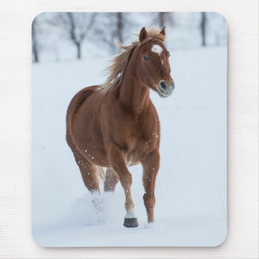 Single Pferd läuft im Schnee Mousepad (Vorne)