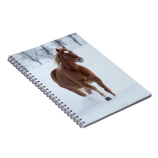Single Pferd läuft im Schnee Notizblock (Rechte Seite)