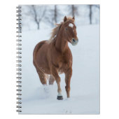 Single Pferd läuft im Schnee Notizblock (Vorderseite)