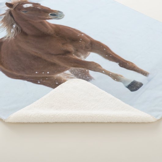 Single Pferd läuft im Schnee Sherpadecke (3/4)