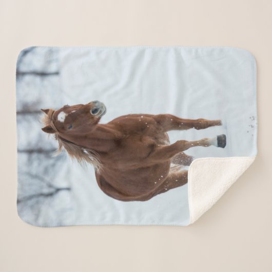 Single Pferd läuft im Schnee Sherpadecke (Vorderseite (Horizontal))