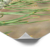 Single Pine Cone Print Poster (Ecke)