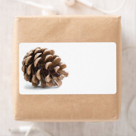 Single pinecon (Insitu)