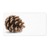 Single pinecon (Vorne)