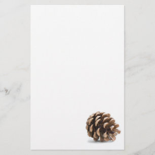 Single pinecon briefpapier