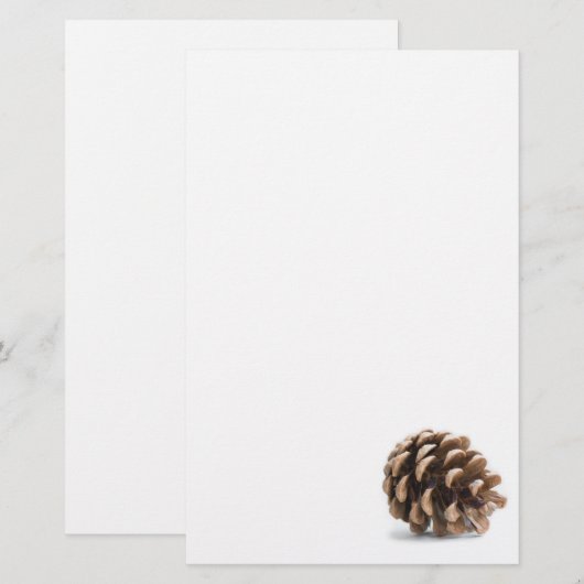Single pinecon briefpapier (Vorne/Hinten)
