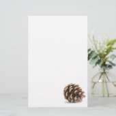 Single pinecon briefpapier (Stehend Vorderseite)