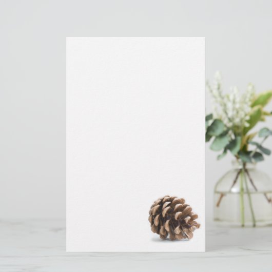Single pinecon briefpapier (Stehend Vorderseite)