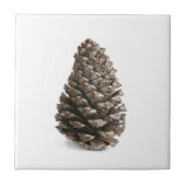 Single pinecon fliese (Vorderseite)