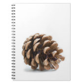 Single pinecon notizblock (Vorderseite)