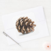 Single pinecon quadratischer aufkleber (Umschlag)