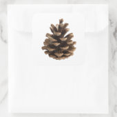 Single pinecon quadratischer aufkleber (Tasche)