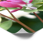 Single Pink Blutung Herz Blume Poster (Ecke)